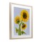 Stupell Industries Sunflower Trio Against Blue Framed Print Under Glass, design by Patti Bishop